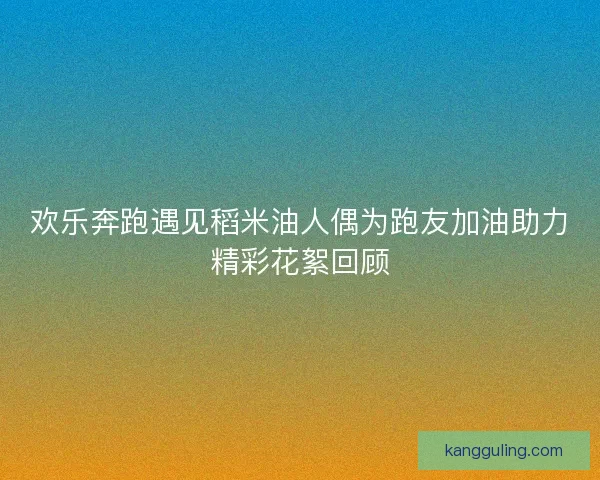 欢乐奔跑遇见稻米油人偶为跑友加油助力精彩花絮回顾